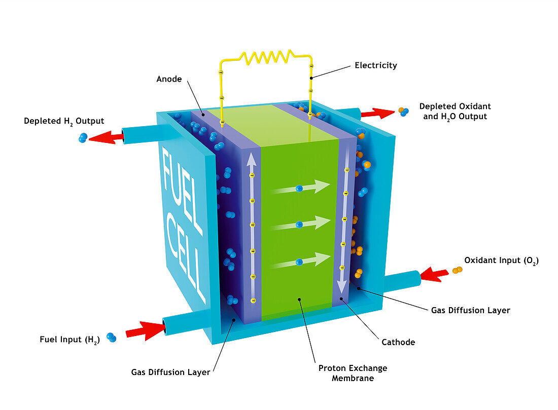Hydrogen fuel cell, illustration