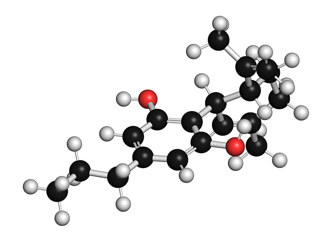 CBDV cannabinoid molecule, illustration