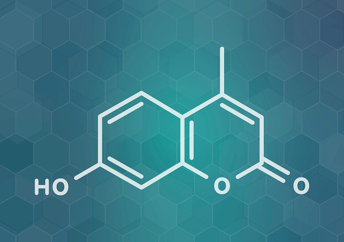 Hymecromone drug molecule, illustration