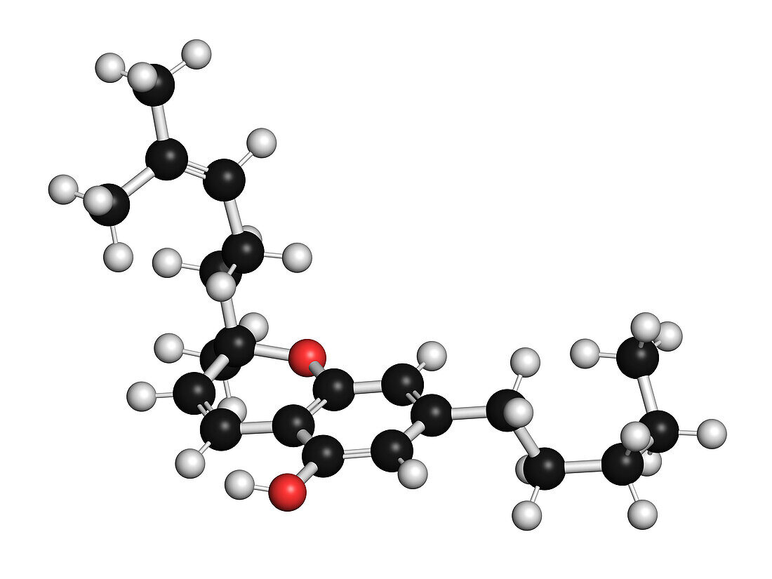 CBC cannabinoid molecule, illustration