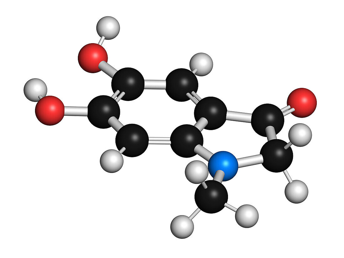 Adrenolutin molecule, illustration