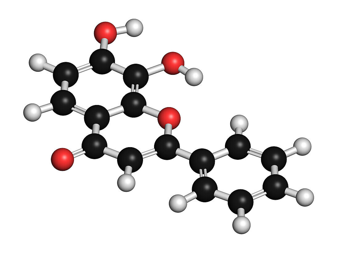 7, 8-DHF molecule, illustration