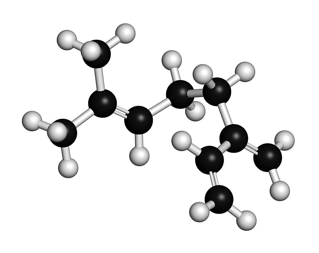 Myrcene monoterpene molecule, illustration