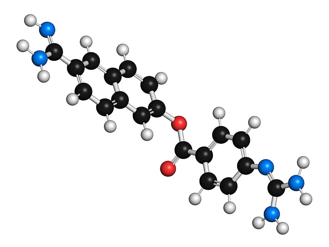 Nafamostat drug molecule, illustration