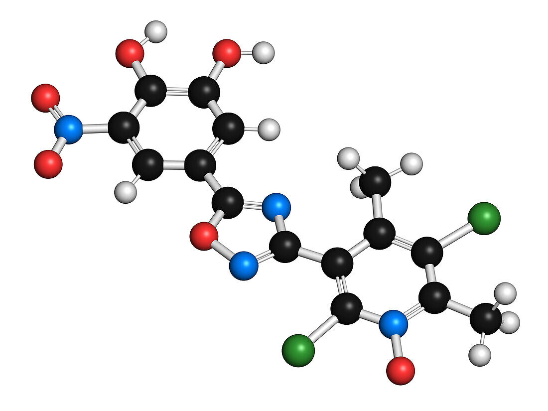 Opicapone Parkinson's disease drug molecule, illustration