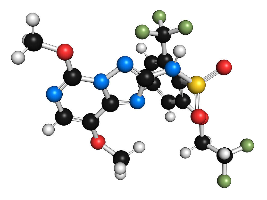 Penoxsulam herbicide molecule, illustration