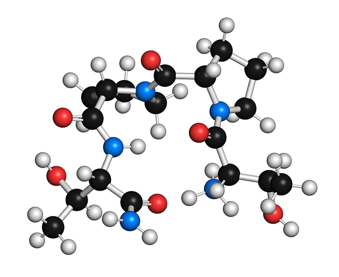 Rapastinel drug molecule, illustration