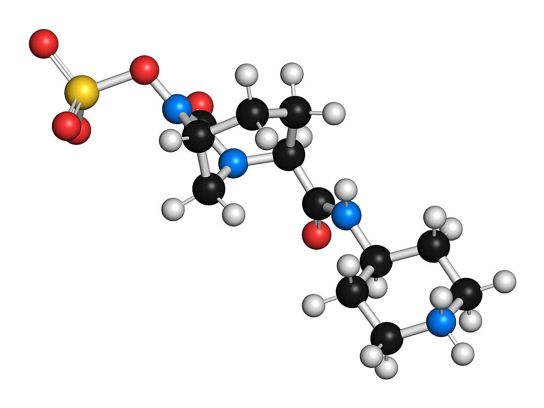 Relebactam drug molecule, illustration
