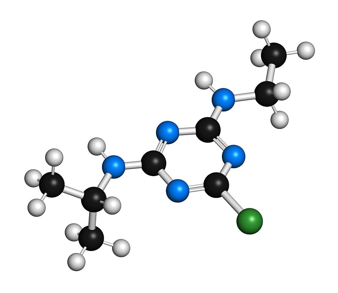 Atrazine broadleaf herbicide molecule, illustration