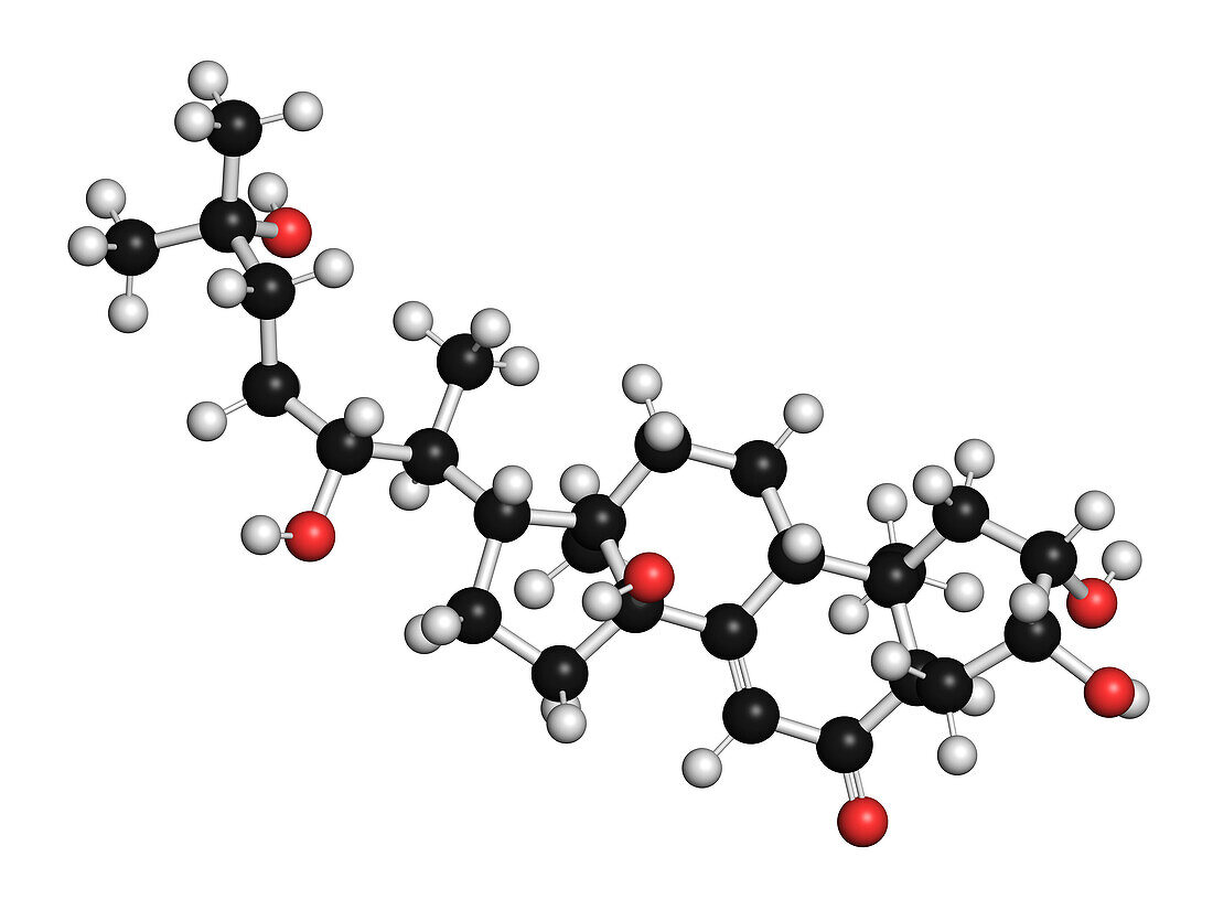 Ecdysone insect moulting prohormone, illustration