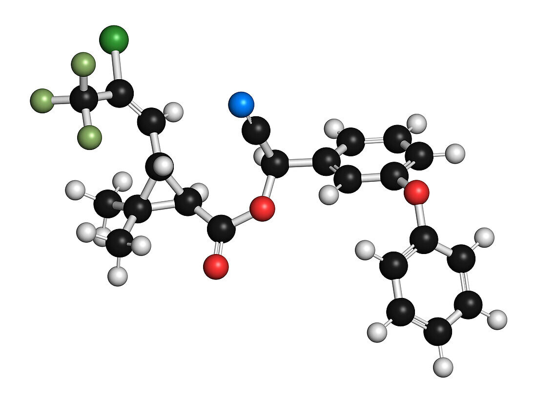 Cyhalothrin insecticide molecule, illustration