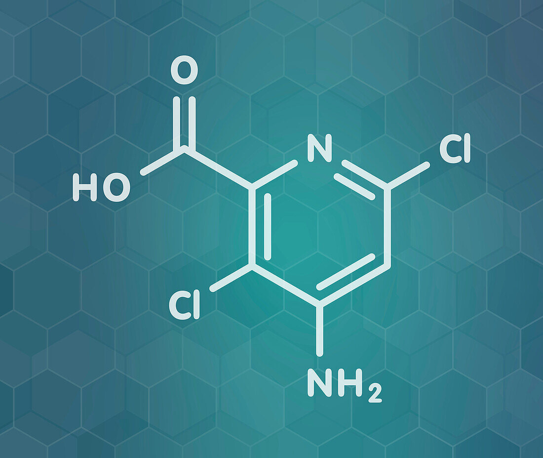 Aminopyralid herbicide molecule, illustration