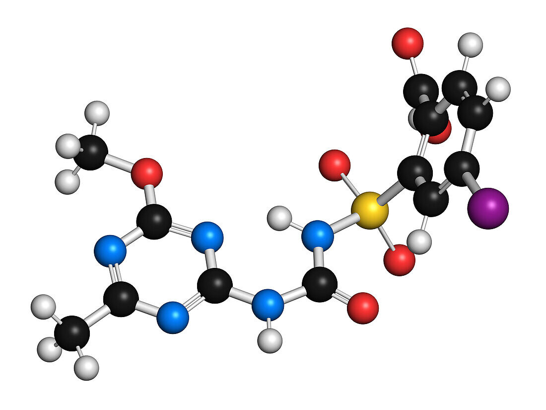 Iodosulfuron herbicide molecule, illustration