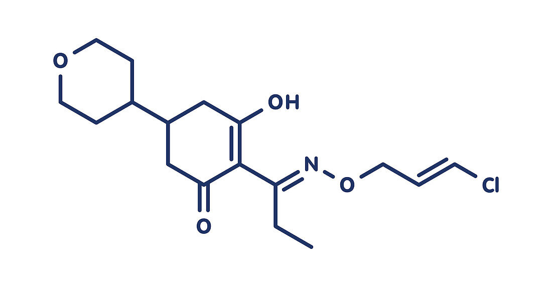 Tepraloxydim herbicide molecule, illustration