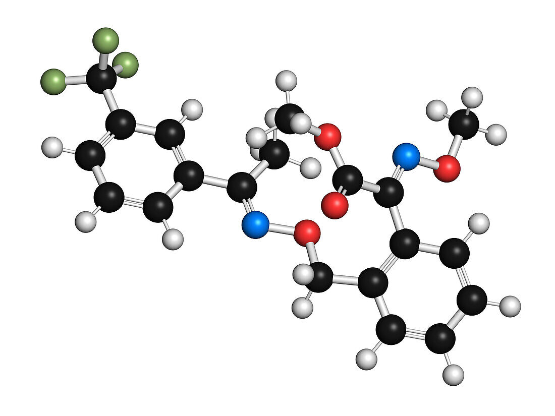 Trifloxystrobin fungicide molecule, illustration