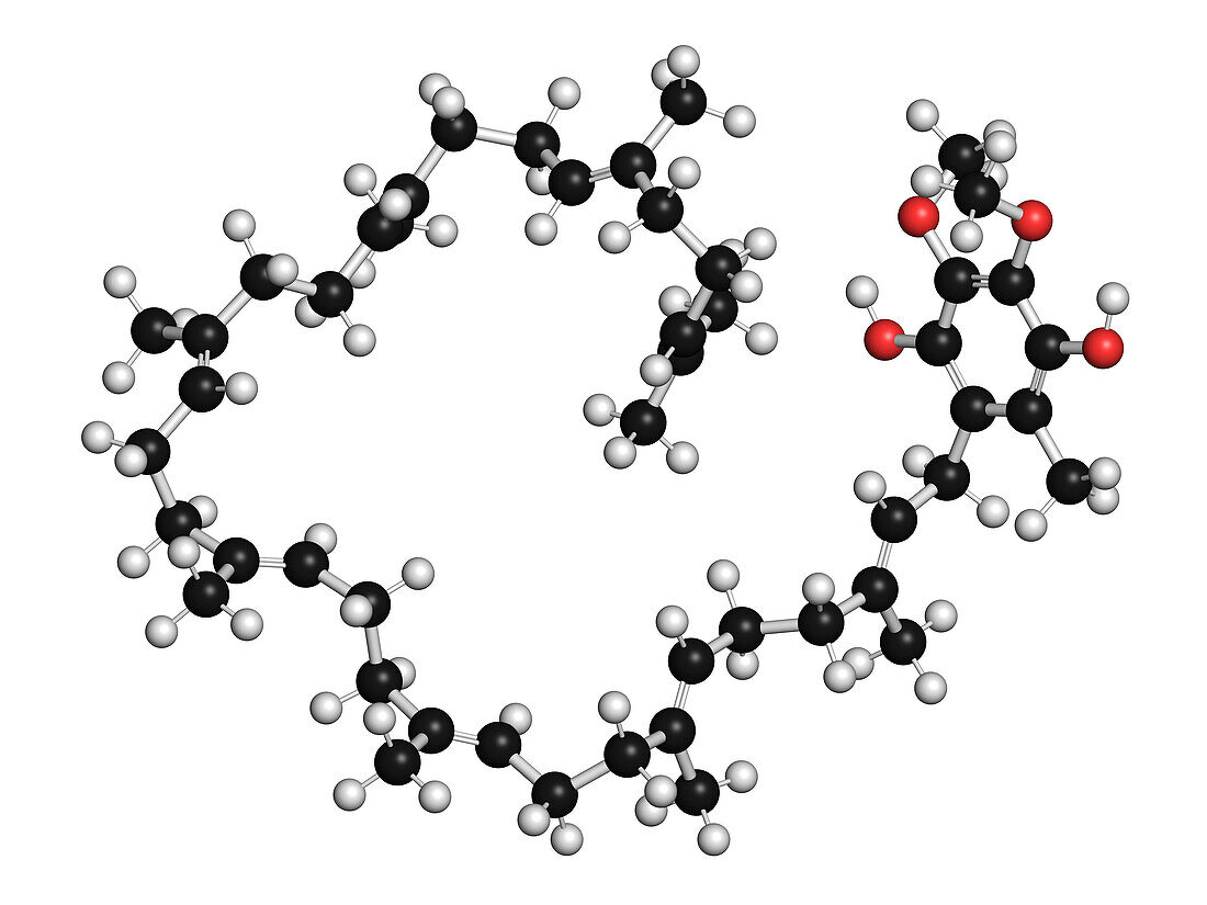 Ubiquinol molecule, illustration