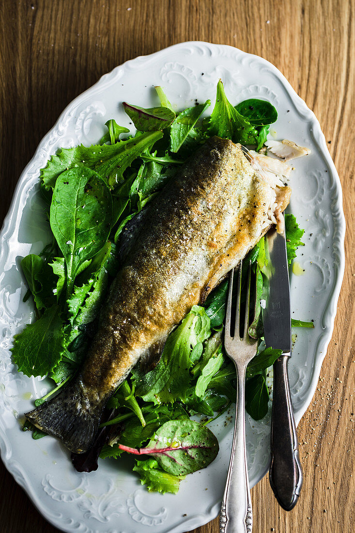 Fried trout on mixed leaf salad