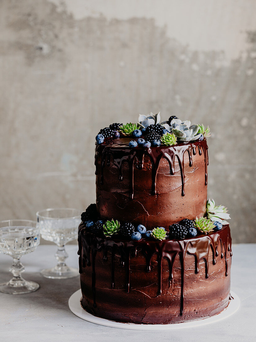 Two-tier chocolate cake decorated with blueberries and succulents