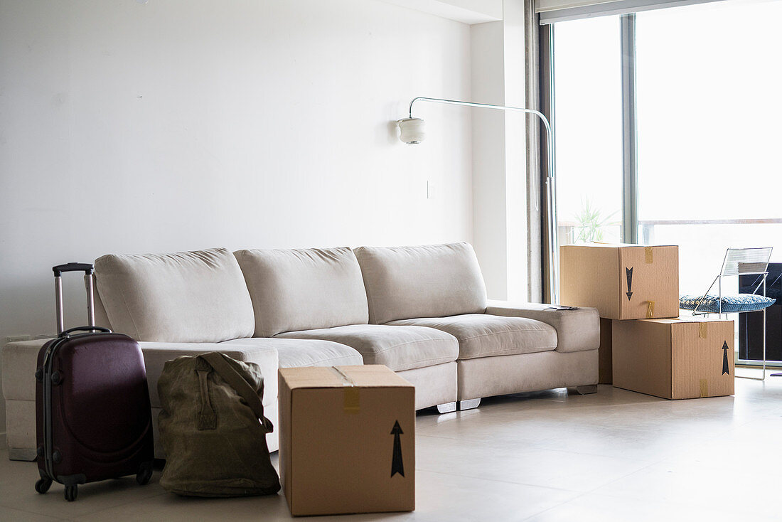 Pale sofa, moving boxes and suitcase in living room