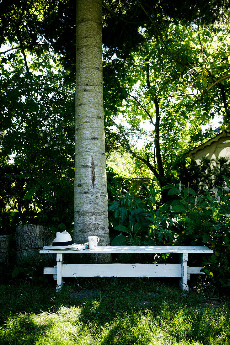 White wooden table below tree in garden