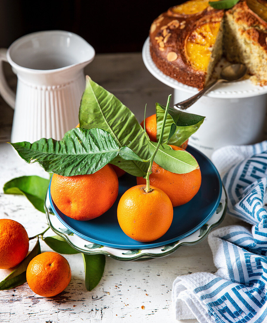 Zitrusfrüchte auf Teller im Hintergrund Orangenkuchen