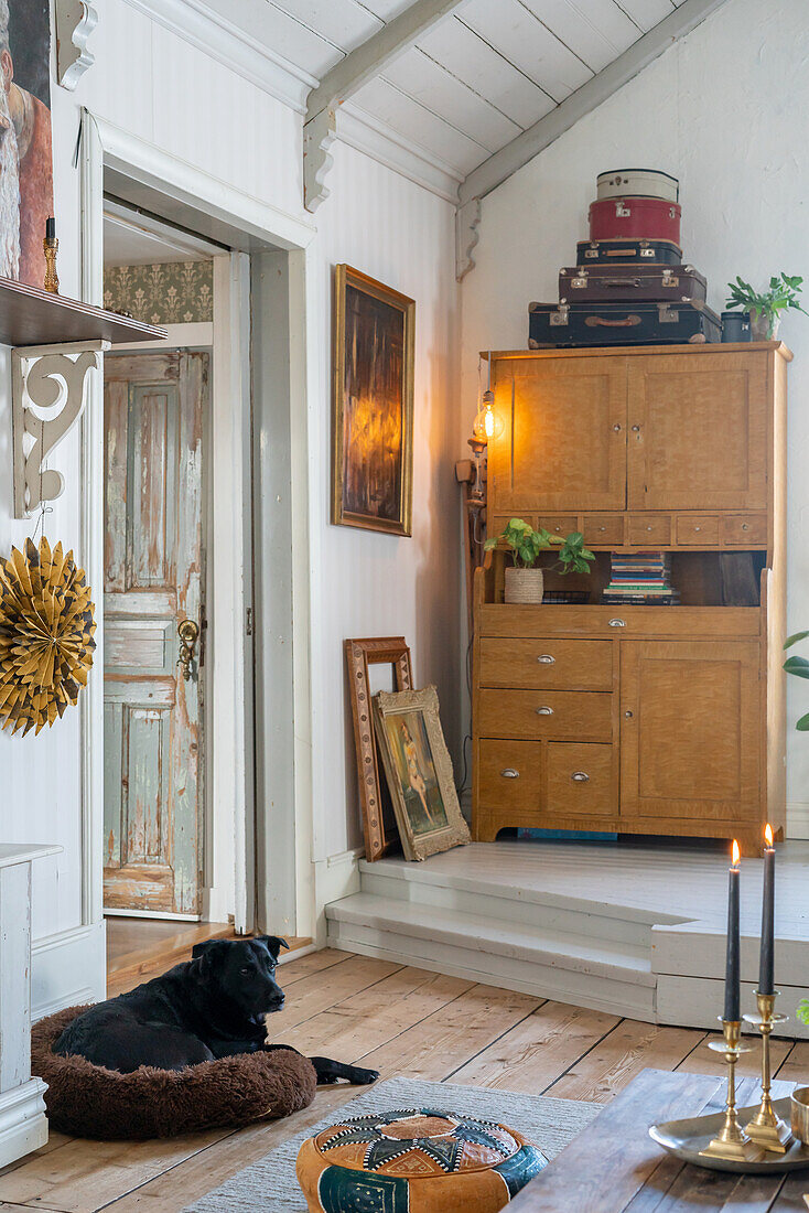 Old sideboard, above vintage suitcase collection on pedestal, dog lying in the foreground