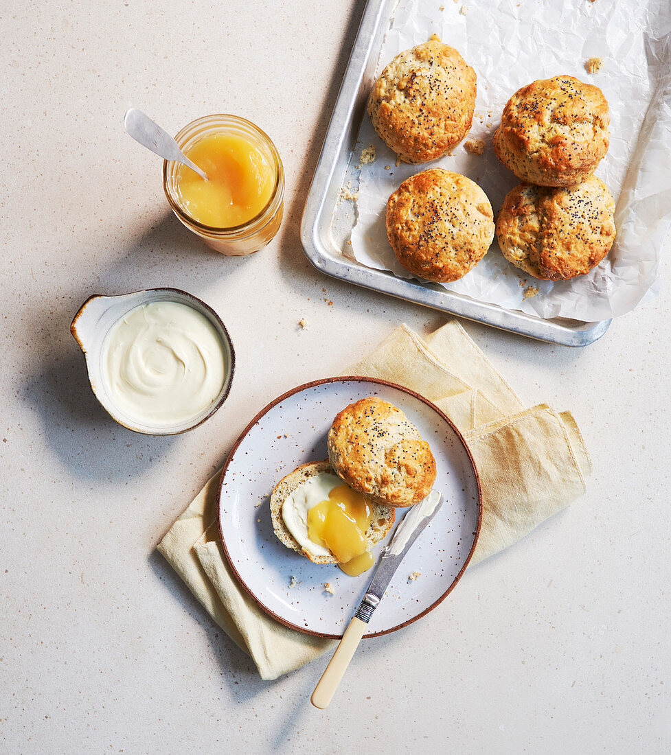 Poppy seeds scones with lemon and clotted cream