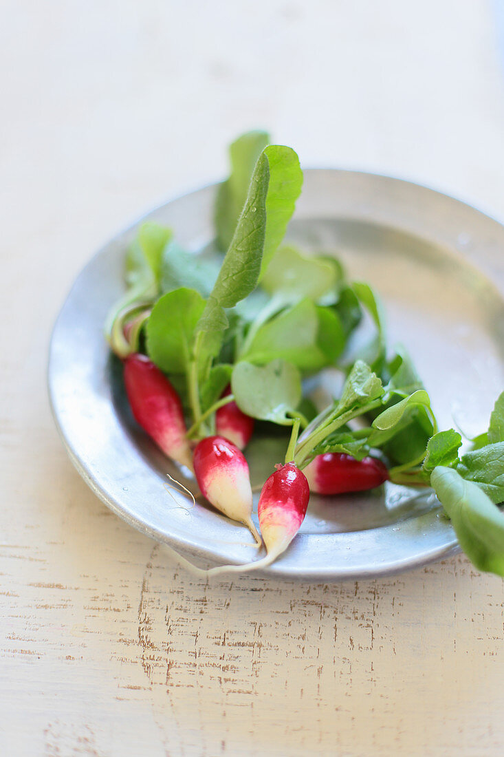 Radishes