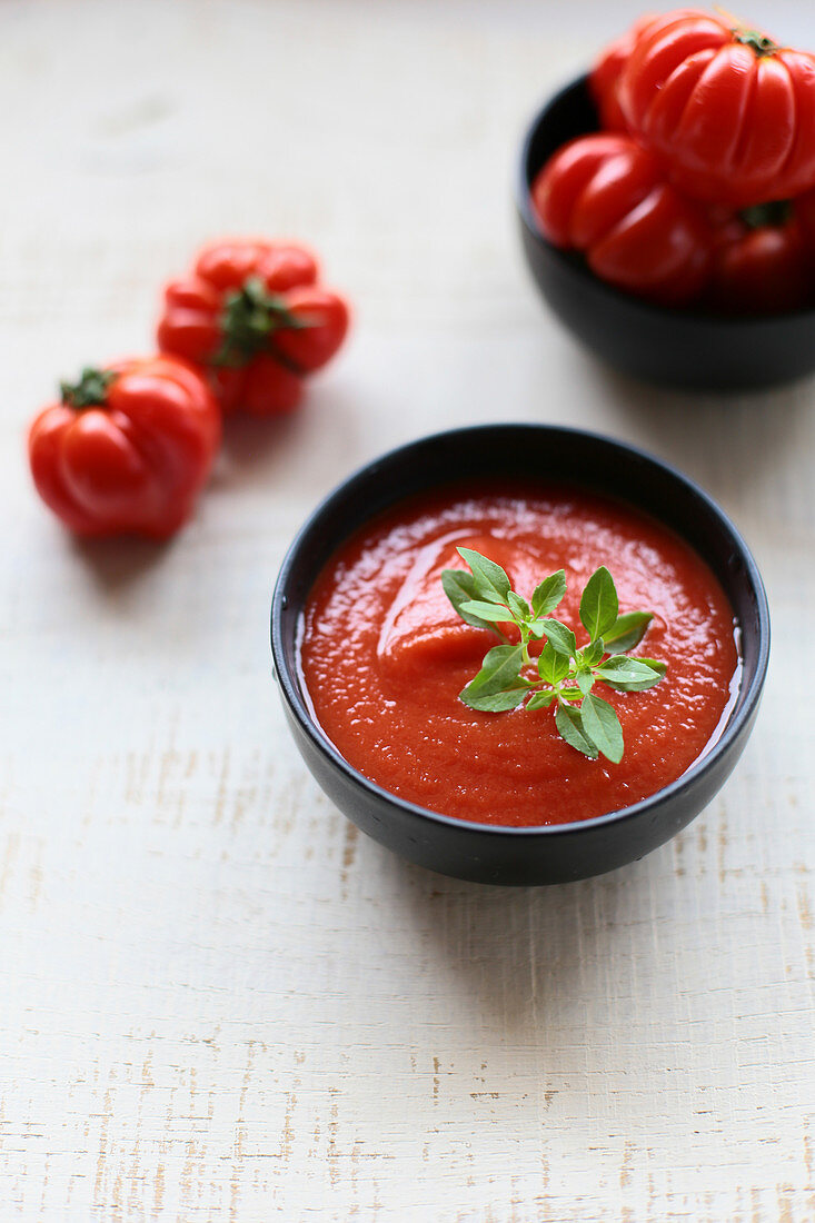 Tomatenpüree und Fleischtomaten