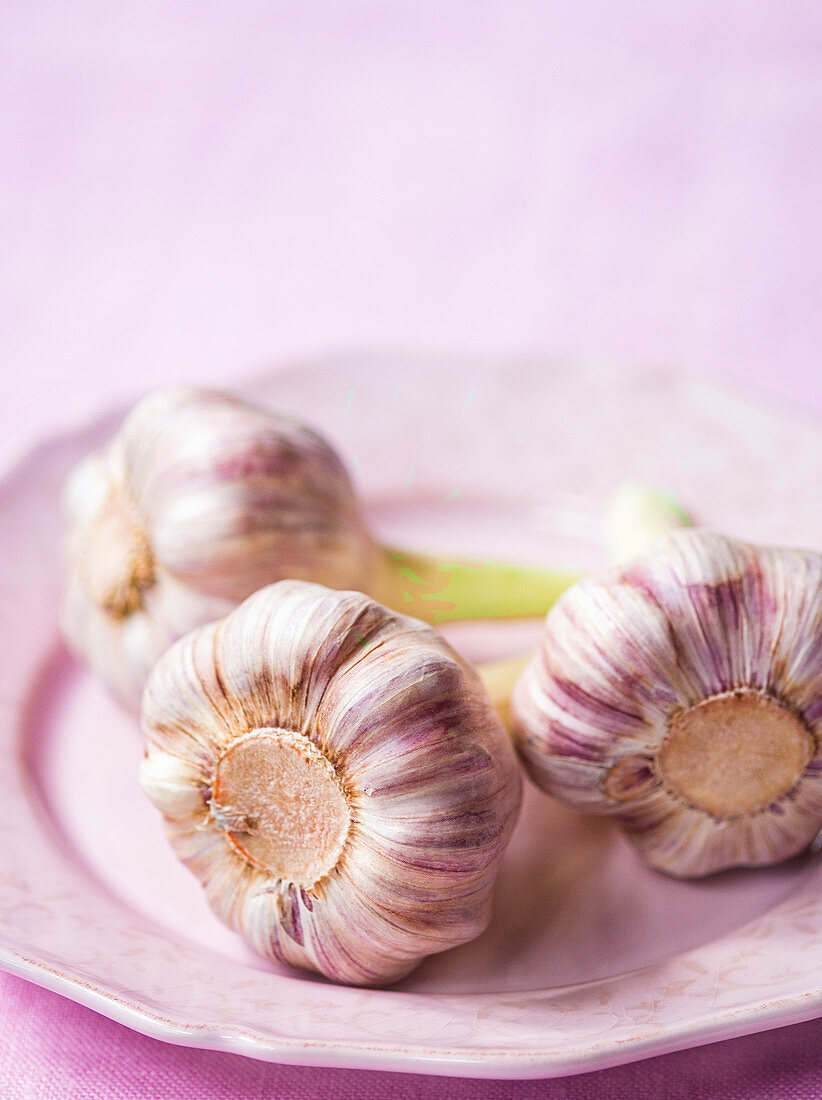Fresh bulbs of garlic on pink plate