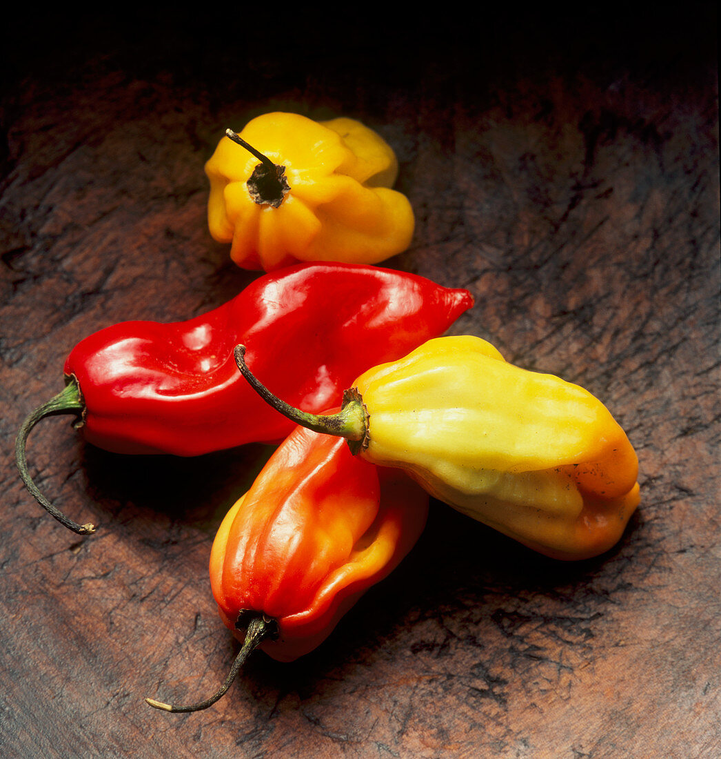 'Scotch Bonnet' chillies