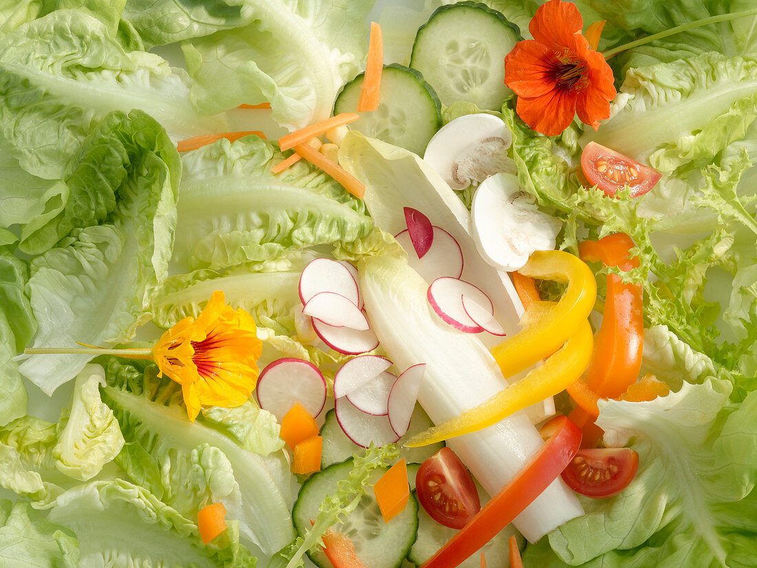 Romaine lettuce and various salad ingredients