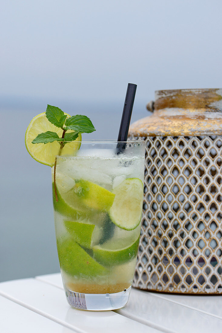 Mojito Cocktail