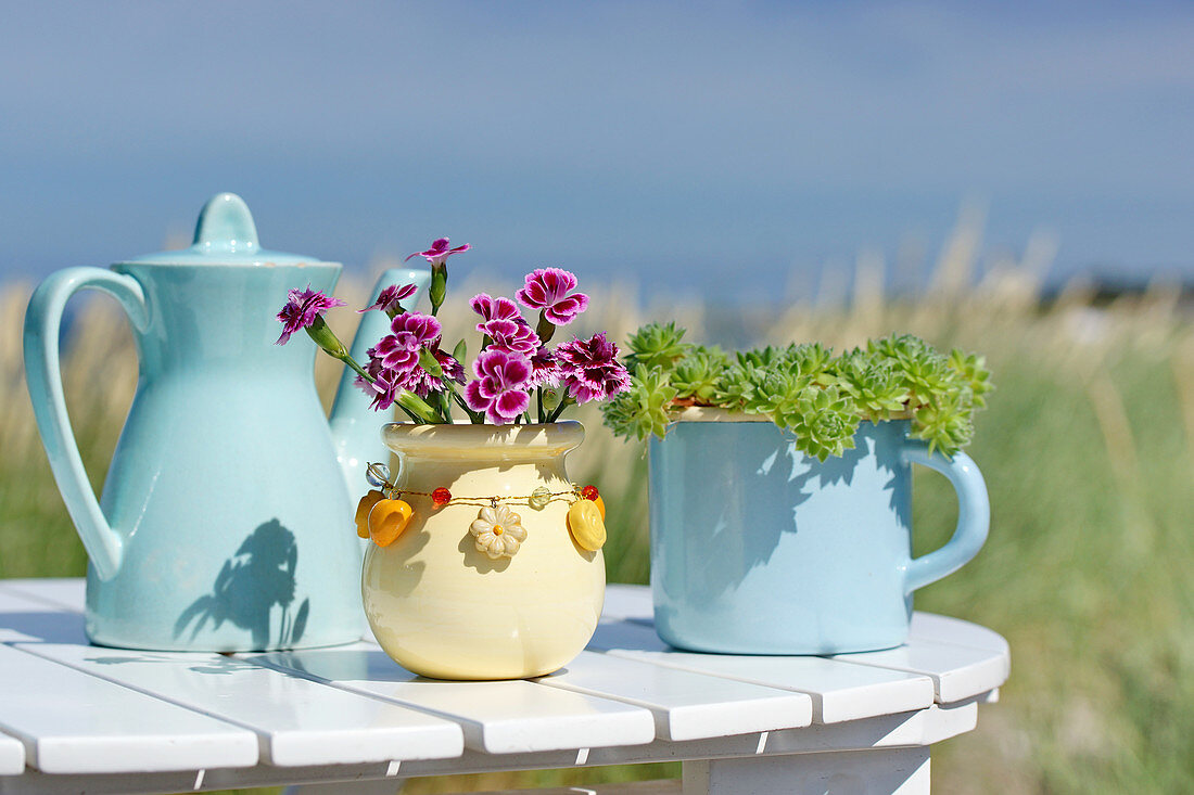 Carnations and succulents in containers and teapots on the beach