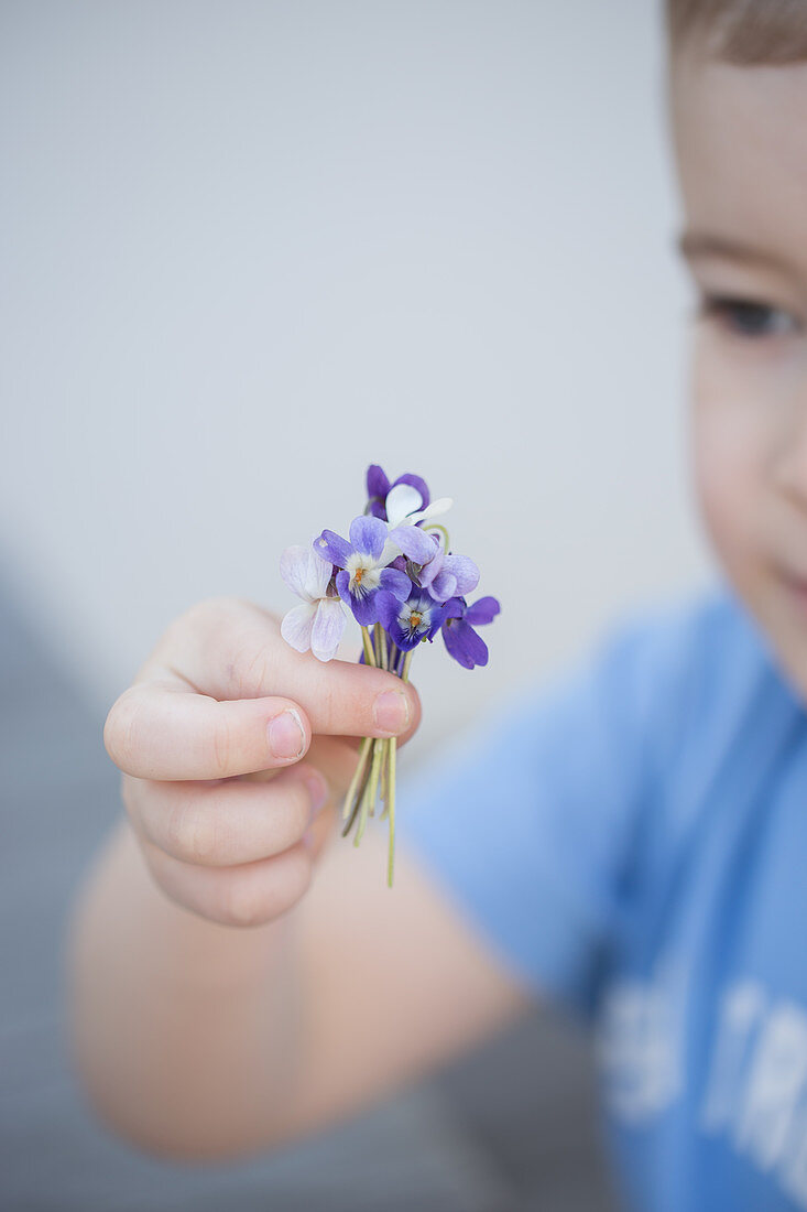 Junge hält Sträusschen aus Veilchenblüten