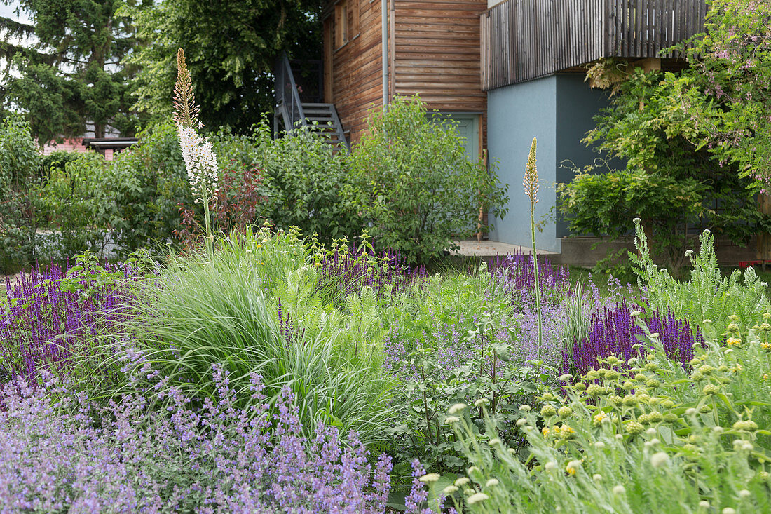 Herb bed in garden