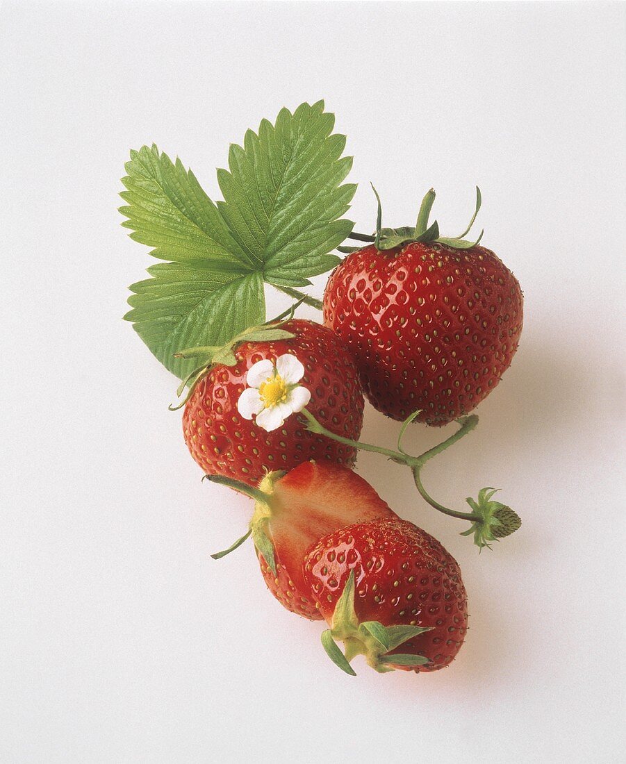 Fresh Strawberries with Leaves and Flower