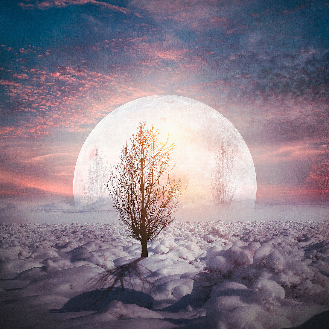 Moon in a snowy landscape, illustration