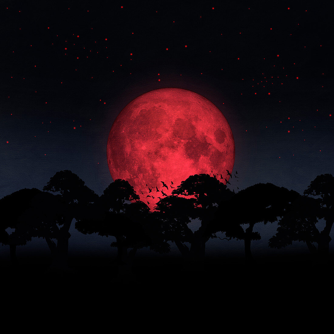 Trees silhouetted by huge red moon, illustration