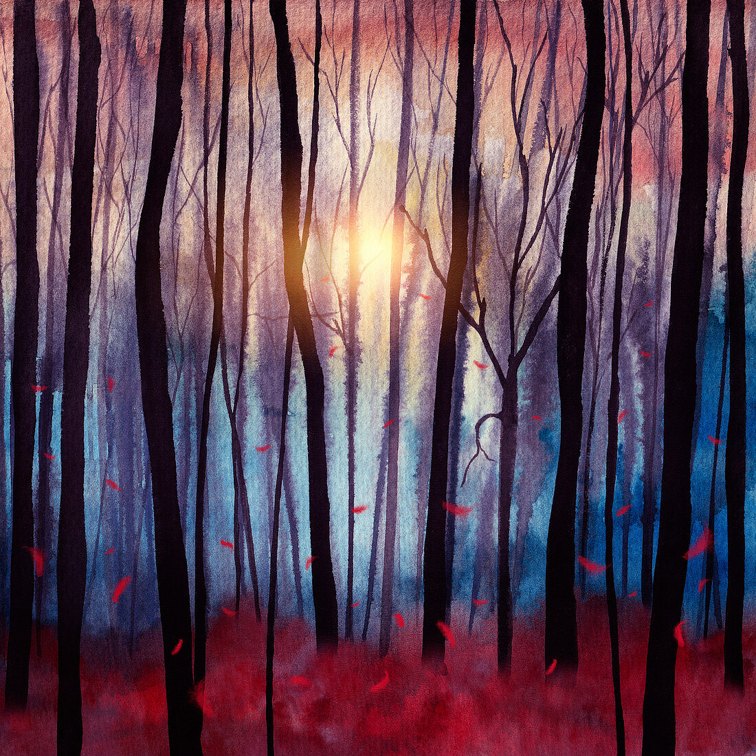Red feathers falling in a forest, illustration