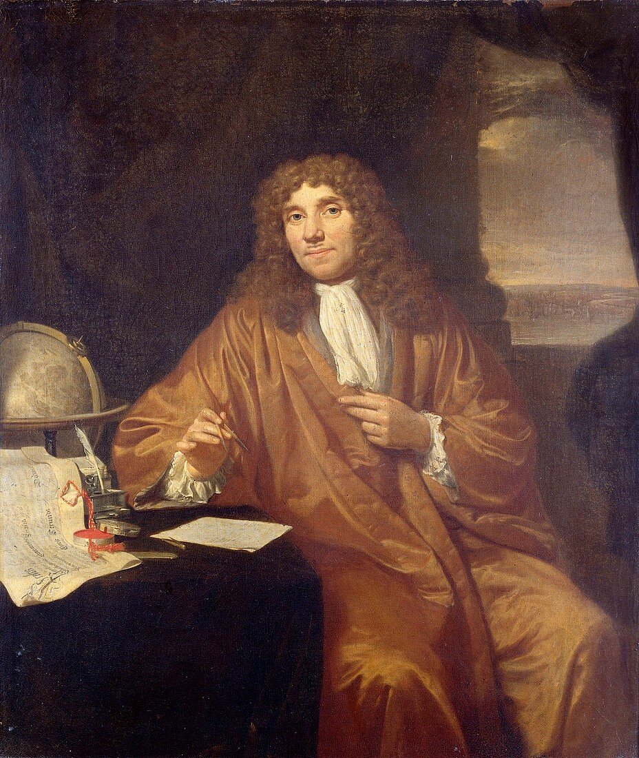 Anton Van Leeuwenhoek, Dutch microbiologist