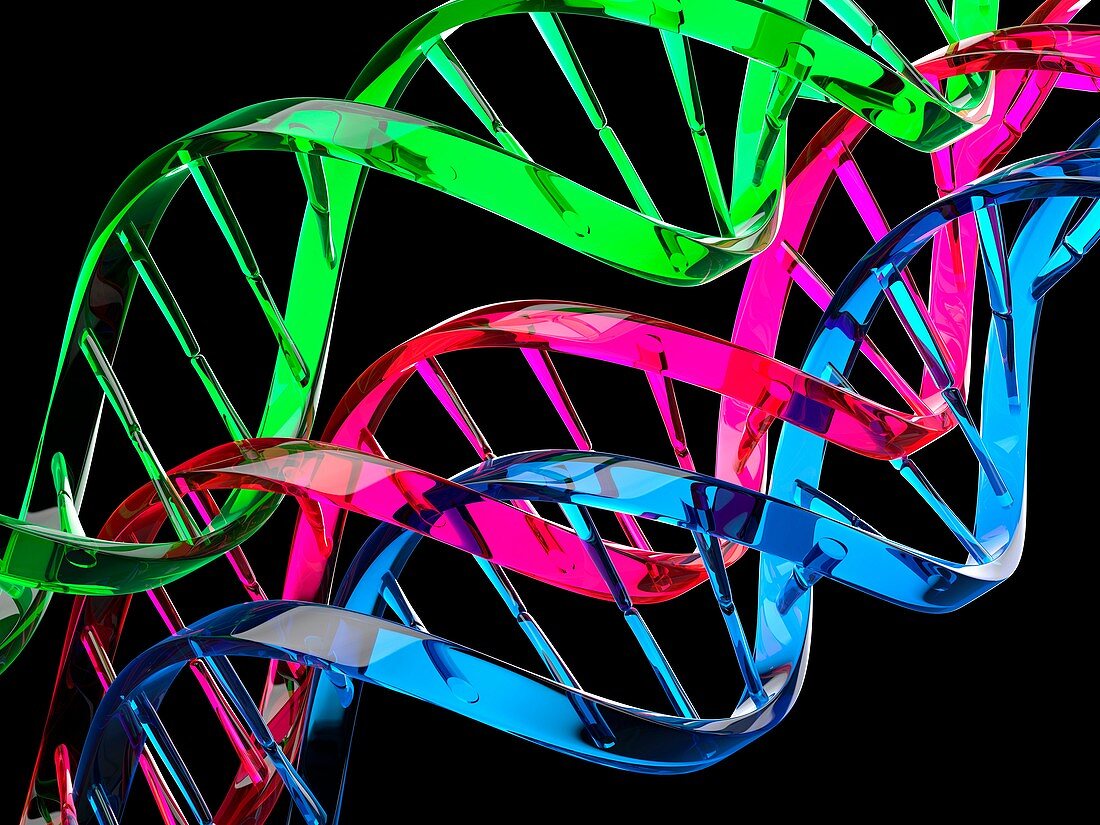DNA (deoxyribonucleic acid) molecules, illustration
