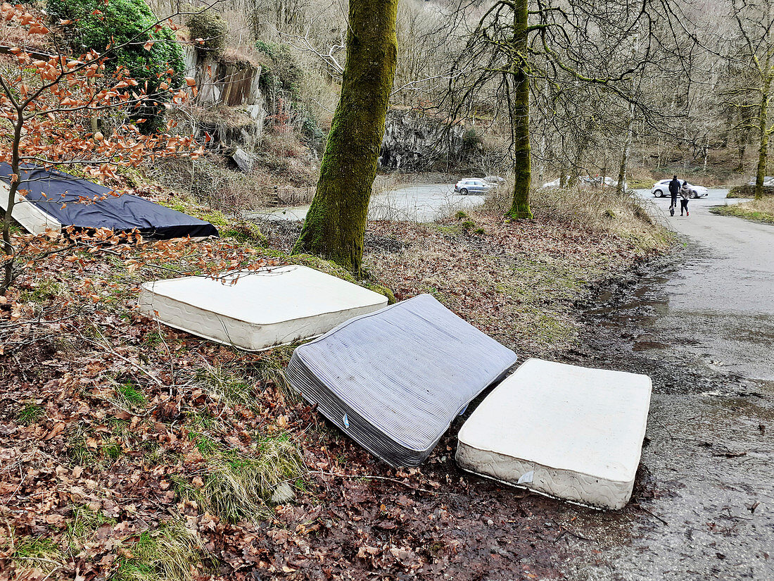 Fly-tipped mattresses