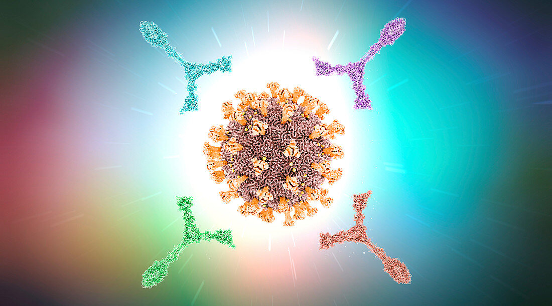 Antibodies attacking virus particle, illustration