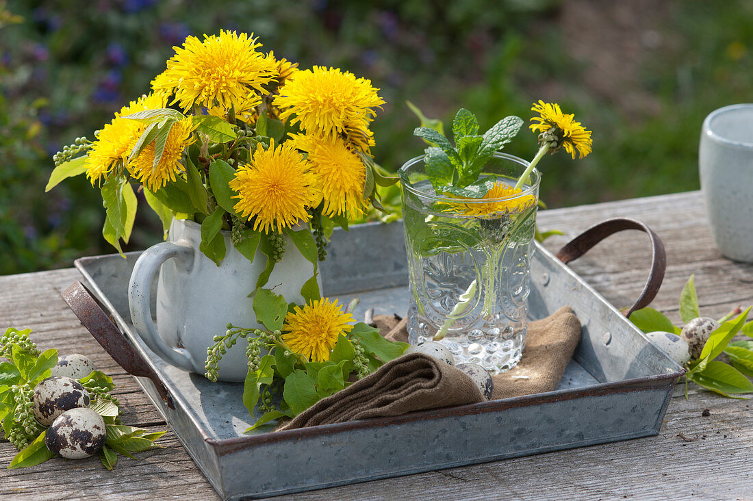 A small bouquet of dandelions and bird cherry, glass with dandelion and mint