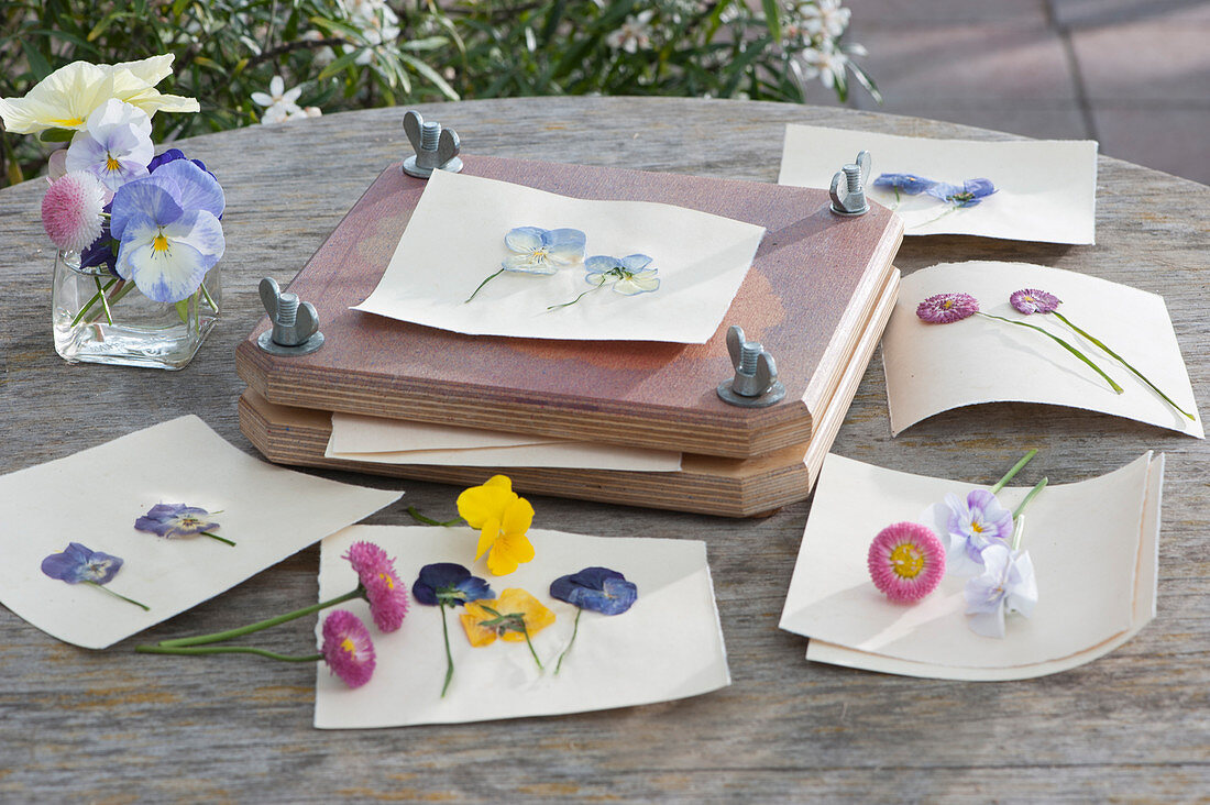 Greeting cards designed with pressed flower for a floral motif