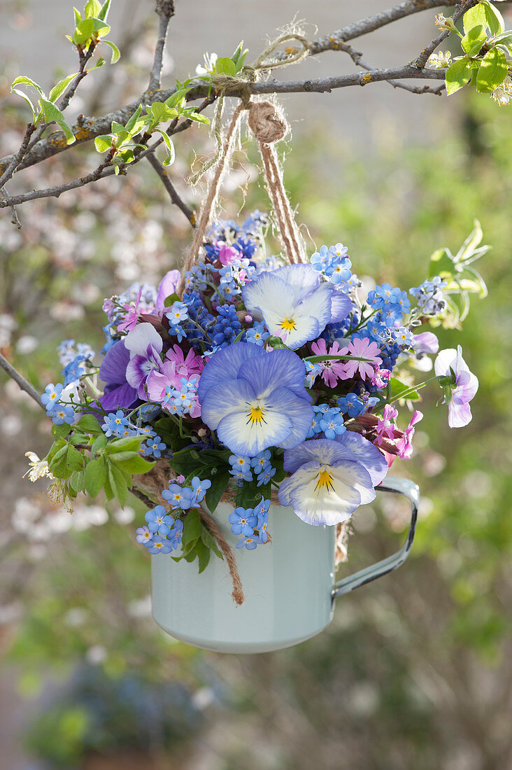 Spring bouquet of horned violets, forget-me-nots, and campion in a cup hung on a branch
