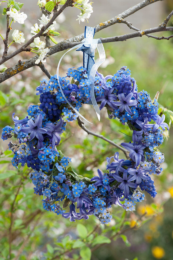 Blue spring wreath of hyacinths and forget-me-nots hung on a branch