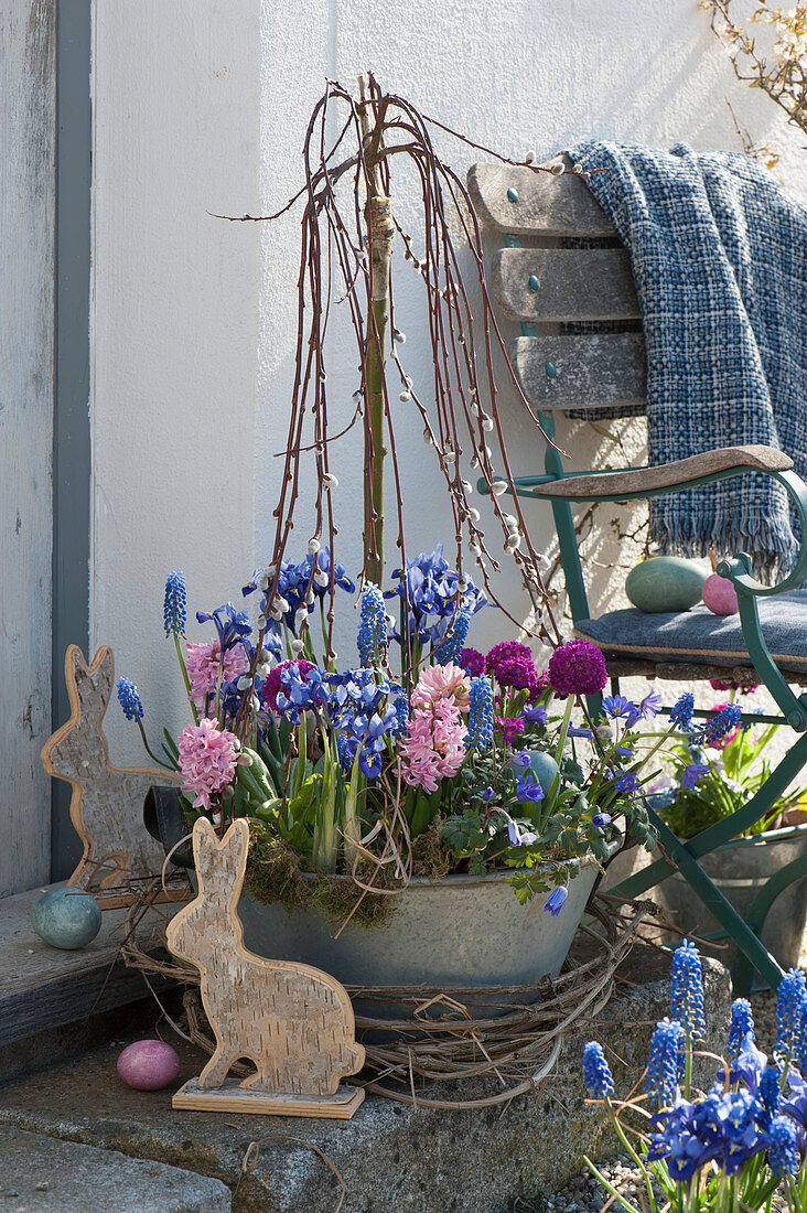 Zinc planter with catkin willow, hyacinths, netted iris, globe primroses, ray anemone, and grape hyacinths, Easter bunny, and Easter eggs as Easter decoration