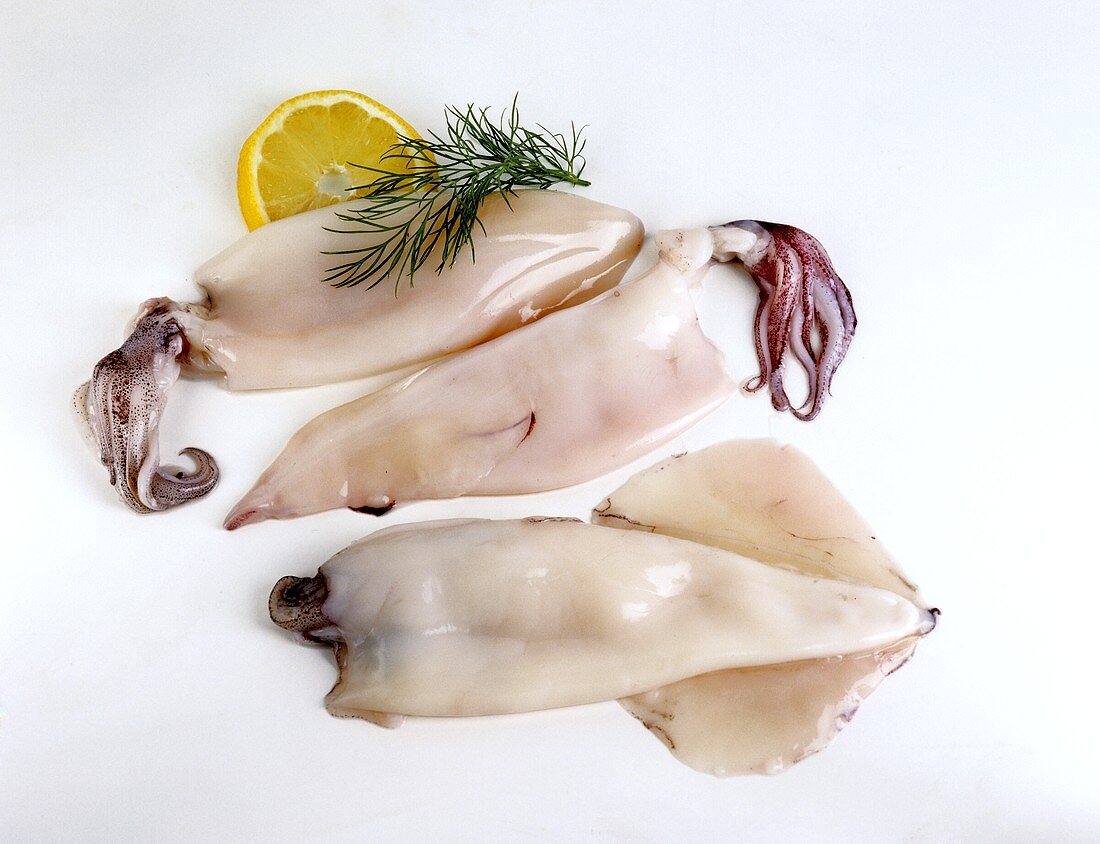 Three calamares with lemon slice and sprig of dill